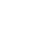 Made in Mexico