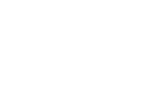 Sanity
