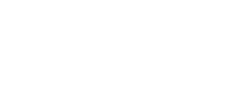 Wizybot